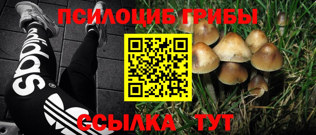 Шали  Псилоцибиновые грибы Psilocybine cubensis  Галлюциногенные грибы мицелий  Вход с VPN 