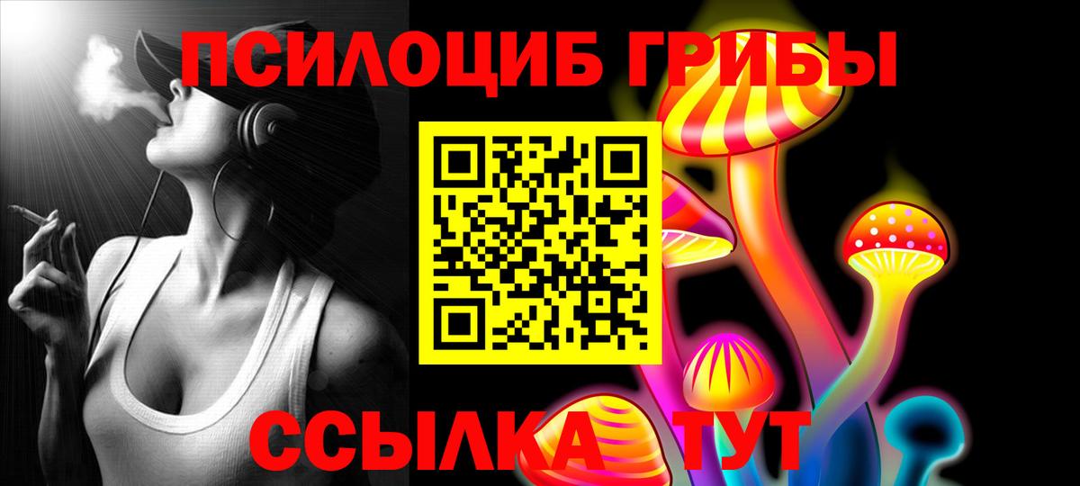 Псилоцибиновые грибы мицелий Шали